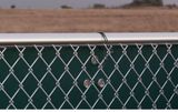 Metal Hooks for Echo Barriers