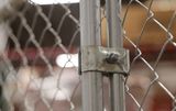 Temporary Fence Panel Clamp + Bolt