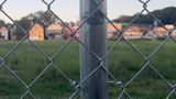 8ft x 50ft Chain-Link Fabric