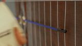 Elastic Ties for Echo Barriers