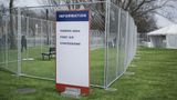 8’ x 10’ Chain-Link Temporary Fence Panel | Versa